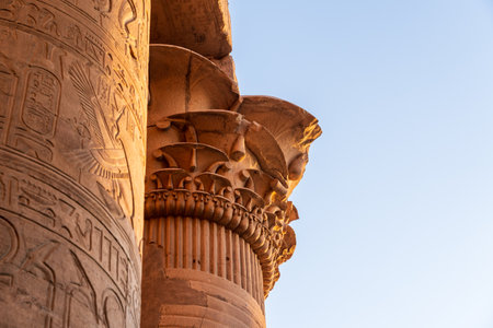 Details of the carvings on the capitals of columns at Temples of Sobek and Horus at Kom Ombo at sunsetの写真素材