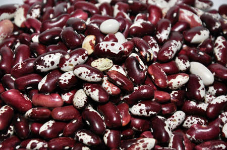 beans closeup