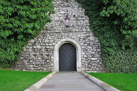 old door in a stone wallの写真素材