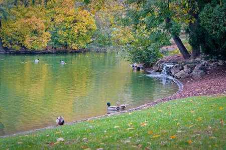 Central Park Stadtpark, Vienna Austriaの写真素材