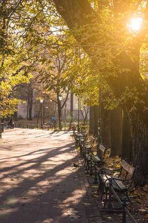 Autumn Park in Krakow Polandの写真素材