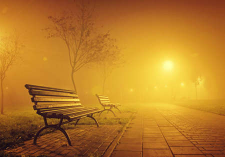 bench in misty park at nightの写真素材