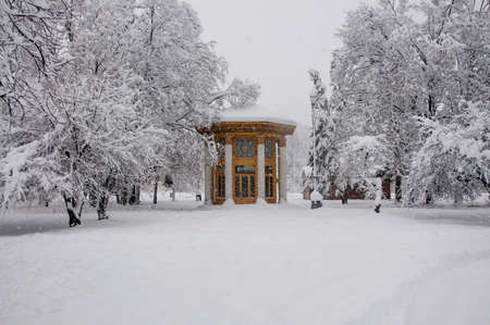 small building in Winter Parkの写真素材