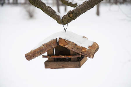 Feeder for birds on the treeの写真素材
