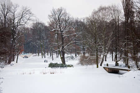 Lazienki Park in winter. Poland, Warsaw.の写真素材
