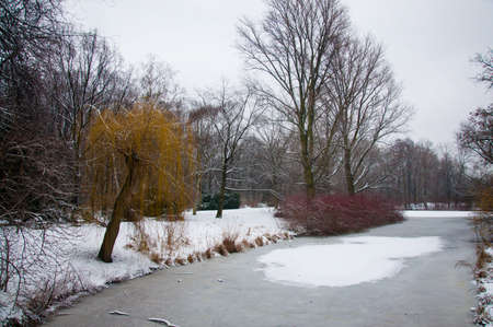 Tiergarten winter park in Berlinの写真素材