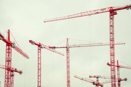 many red cranes in the skyの写真素材
