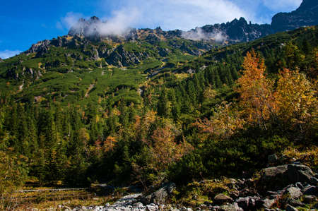 Tatra Mountains in the Pinesの写真素材