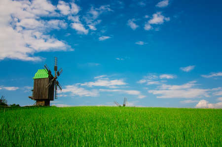 beautiful green grass and blue skyの写真素材