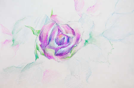 picture with a flower drawn in pencilの写真素材