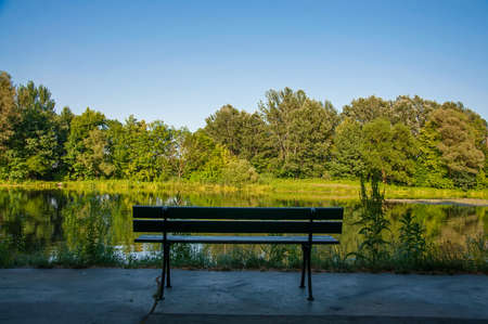 bench near the water in the parkの写真素材