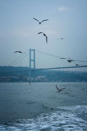 Bosphorus Bridge in Istanbulの写真素材