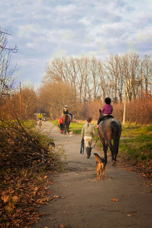 people on horses walking in the parkの写真素材