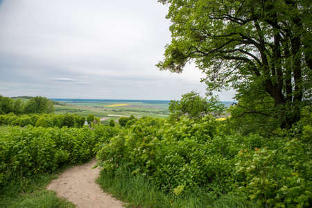 beautiful landscape view of the field