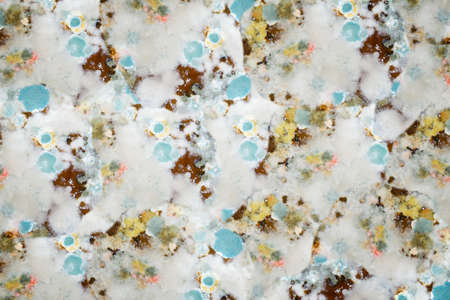 background of mold and mildew
