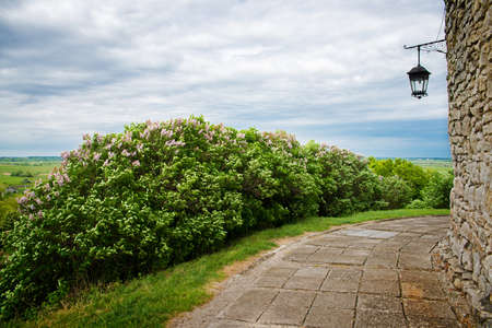 stone road near the old castle wallの写真素材