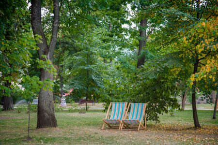 summer park with chairs in Kievの写真素材