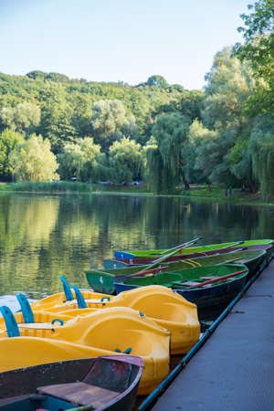 beautiful summer park with lakeの写真素材