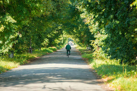 Cyclist riding a bicycle in the parkの写真素材