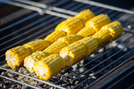 beautiful corn fried on a grillの写真素材