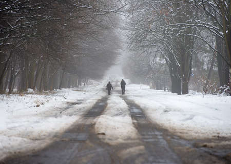 men walking in the winter parkの写真素材