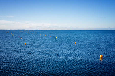 network for eel in the seaの写真素材