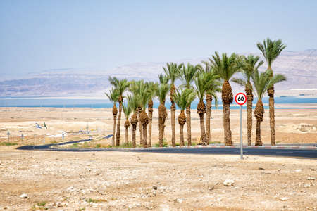road from Masada to the Dead Seaの写真素材