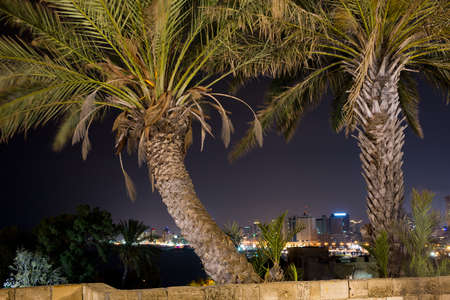 Tel-Aviv view from the old to the new townの写真素材