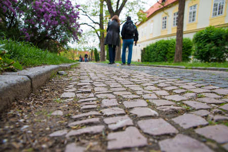 stone road in the park in Prague