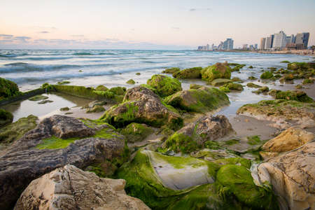 view of the modern Tel Aviv and the seaの写真素材