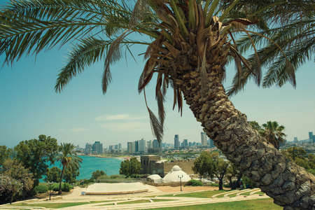 Tel-Aviv view from the old to the new townの写真素材