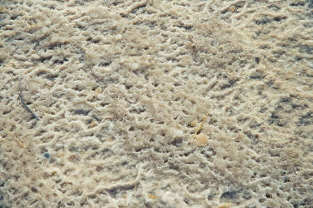 salt in the Dead Sea in Israelの写真素材