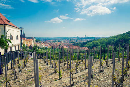 top view of old city in Pragueの写真素材