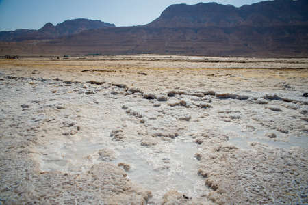 View of Dead Sea coastline