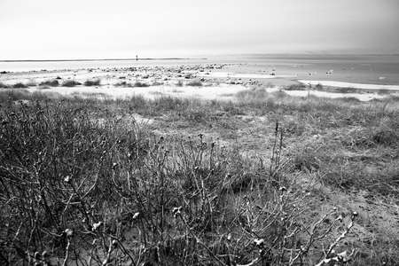winter landscape with a sea viewの写真素材