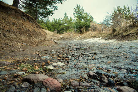 road in the mountains in the forestの写真素材