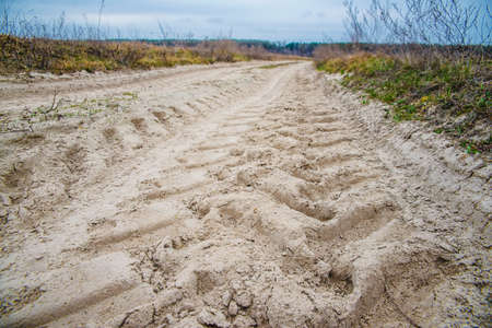 dirt road in the fieldの写真素材