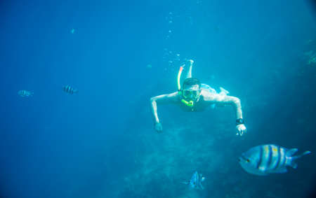 snorkeling in the Red Seaの写真素材