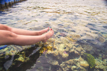 coral reef  in red seaの写真素材