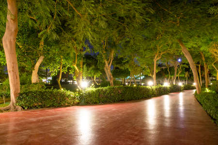 beautiful thick night Park in Sharm El Sheikhの写真素材