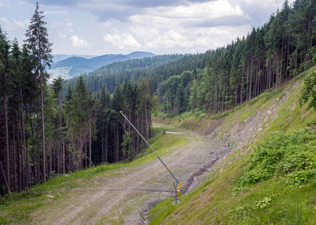 Road in the forest in the Carpathian mountains
