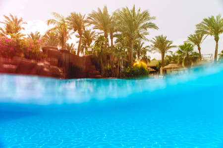 Nice view of the swimming, underwater and above waterの写真素材