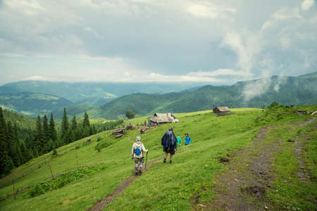 beautiful forest landscape in the Carpathian mountainsの写真素材