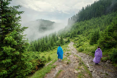 beautiful forest landscape in the Carpathian mountainsの写真素材