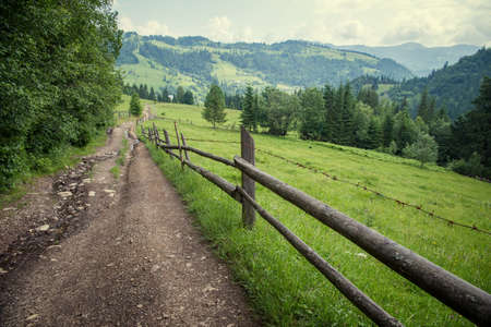 Trail in the Carpathian mountains in summerの写真素材