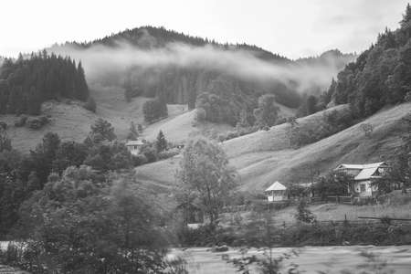 Beautiful forest landscape in the Carpathian mountainsの写真素材