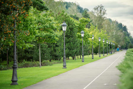 asphalt road in summer beautiful park