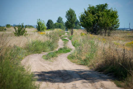 dirt road in the summerの写真素材
