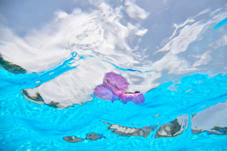 background blue water in the pool