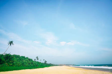nice landscape with the ocean and palm treesの写真素材